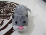 zhuzhu pet accept paypal