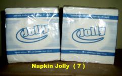 Tissue Napkin