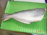 Whole clean pangasius head off