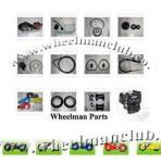 Sell Wheelman Motorized Skateboard 49cc Spare Parts