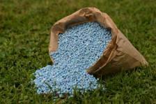 Guano phospate fertilizer