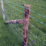 grassland mesh fence