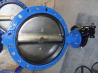 Single Flanged Butterfly Valve