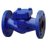 DIN lift check valve