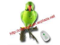 Recordable parrot wireless doorbell