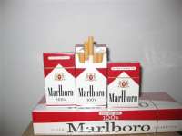 marlboro red short with fl,  ny stamps ,  free samples