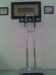 Floor Stand LCD TV