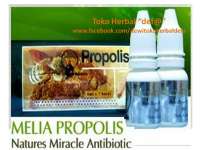 Propolis melia nature