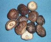 Shitake Mushroom Extract