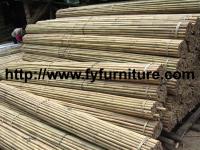 Tea Pole Bamboo, Tsinglee bamboo, Tonkin Bamboo, Bamboo Canes, Bamboo Sticks, Bamboo Pole