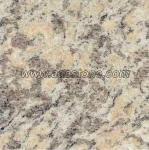 Tiger Skin Granite Tile