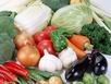 Green  biofertilizer for organic vegetables