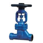 DIN forged bellows seal globe valve