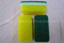 filtration sponge