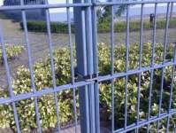 fence wire mesh