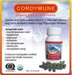 Cordymune