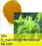 Mulberry Leaf Extract