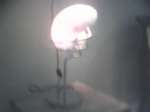 Lampu Table/ Table Lamp/ lampu kamar tidur/ lampu tidur/ lampu meja/ lampu ruang tamu/ lampu interior/ lampu asesoris rumah