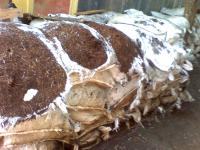 jual cocopeat curah Rp. 900 / kg jual cocopeat block murah