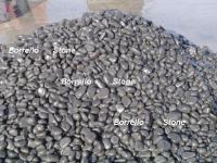 Professional Supplier of Pebble Stone