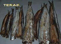 IKAN LAUT