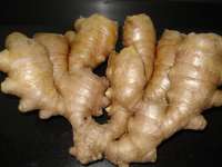 Ginger Extract