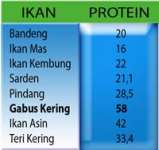 Perbandingan Protein