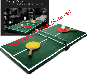 Mini Ping Pong Table