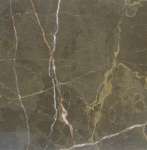 Dark Maron Marble