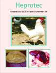 Heprotec ( Liver Tonic) poultry medicine