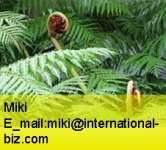 Polypodium Leucotomos Extract