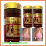 Wild Yam Extract | Breast Beautifying | Hubungi 081229229323