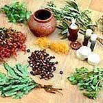 Plant Herbal Extract