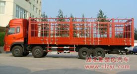 different types and models of Box/ stake truck