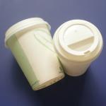 100% biodegradable coffee cups