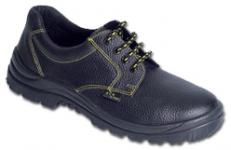 Safety low shoe