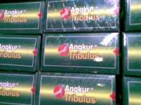 TANGKUR TRIBULUS 3O.OOO/ 10 BOX