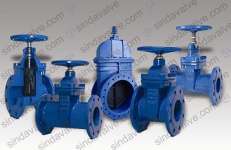 Resilient Seated Gate Valve