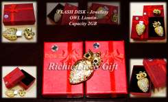 Owl Jewellery Flash Disk 2GB