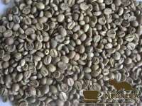 Premium Luwak / Civet Robusta Green bean