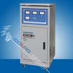Servo-Type Automatic Voltage Stabilizer/ Regulator ( TNS-3000VA/ 4500VA)