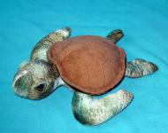 T10691 -Sea Turtle