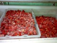 Jual Stroberi Beku / Frozen Strawberry
