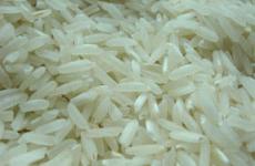 PAKISTANI LONG GRAIN NON BASMATI RICE IRRI-9