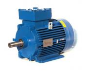 Electric Motor for Inverter Explosion Proof