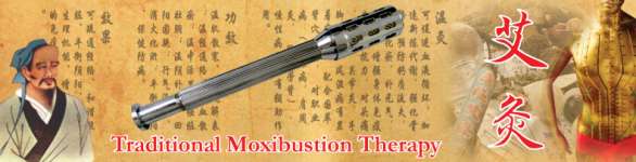 Stainless Steel Moxibustion Roller