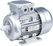 Induction motor