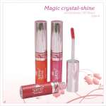 lip gloss SF-828