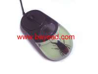 real insect amber optical computer mouse,  insect mouse,  gift mouse