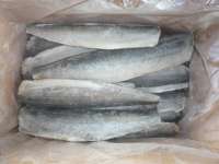 Sell frozen spanish mackerel